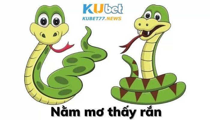 Nên đánh đề con gì khi nằm mơ thấy rắn - Kubet77
